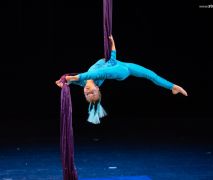 Студия воздушной гимнастики "Airdance"