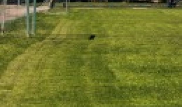 Фотография Стадион 