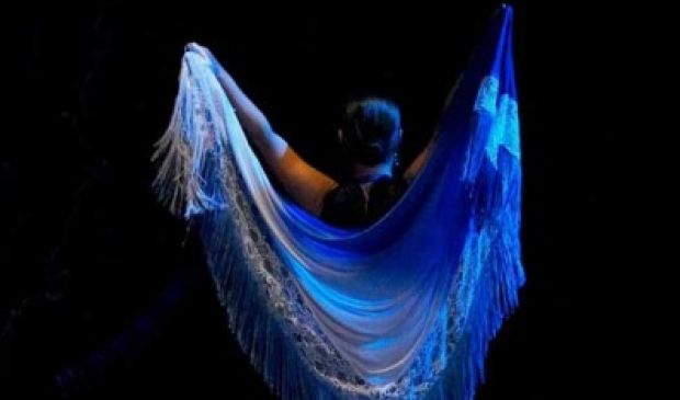 Фотография La Plaza, школа фламенко