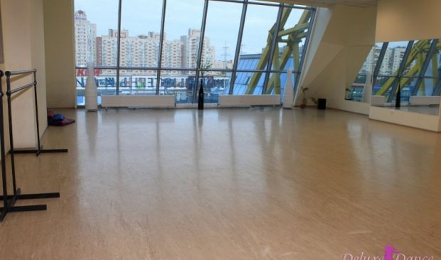 Фотография DeluxeDance, школа танцев (70м, 90м,110м,120м)
