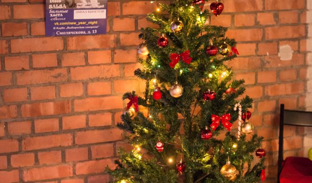 Фотография Студия танцев «Fiesta Tropical» 