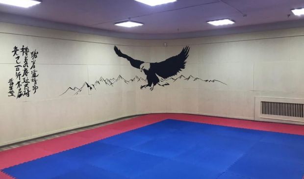 Фотография Зал для танцев и единоборств 60 кв.м. в Купчино