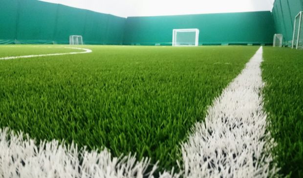 Фотография Футбольный манеж Озерки Арена Поле #2