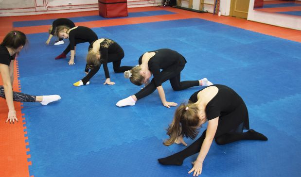 Фотография Художественная гимнастика 