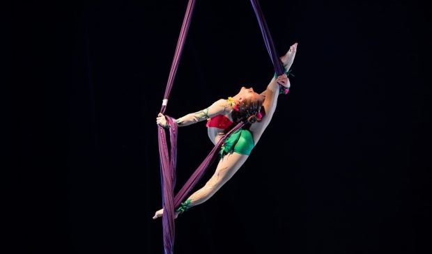 Фотография Студия воздушной гимнастики 