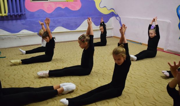 Фотография Художественная гимнастика 