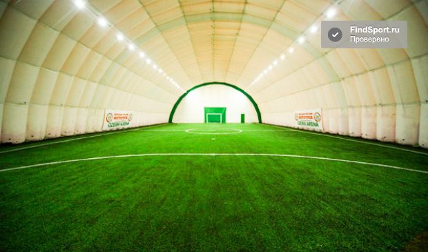 Фотография Футбольный манеж Озерки Арена Поле #1